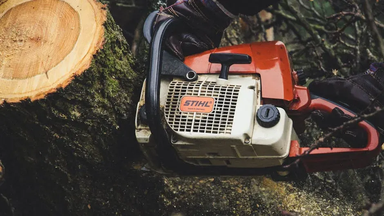Hortus Tree & Landscape Services, Corp. | Black Forest, CO