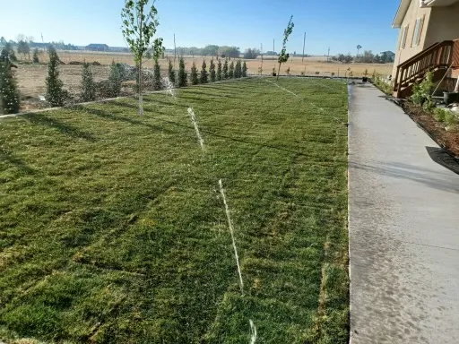 Complete Landscape Renewal - after